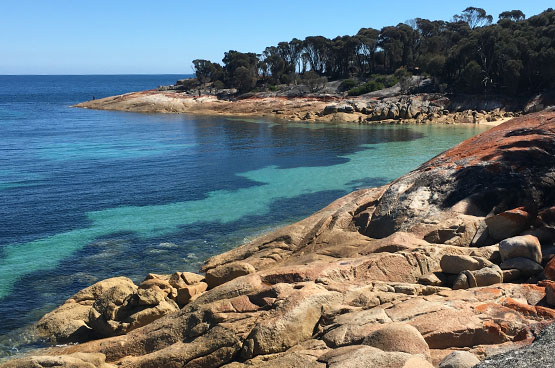 Tasmanian Aboriginal Centre Archives Marine and Coastal Hub