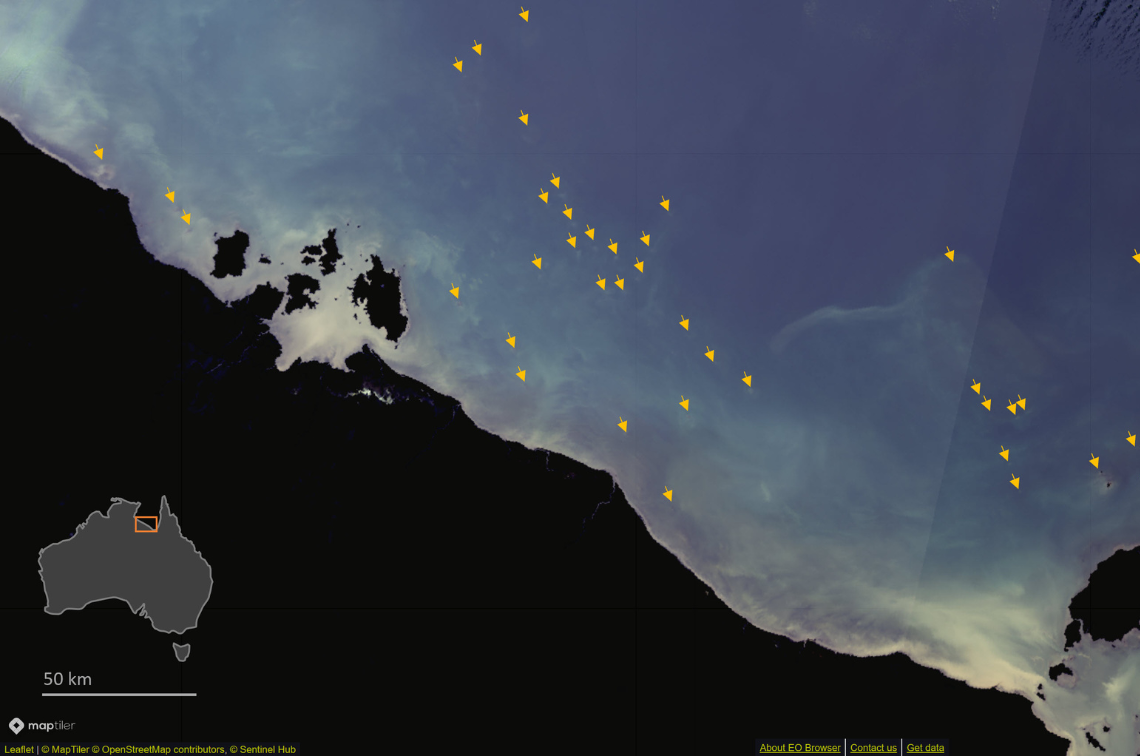 Many small reefs in the Gulf of Carpentaria shown by Sentinel-3 satellite. Image: Chris Roelfsema