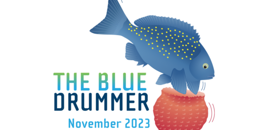 The Blue Drummer Marine and Coastal Hub newsletter, November 2023