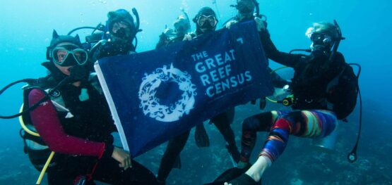Webinar: Monitoring environmental impacts on the Great Barrier Reef