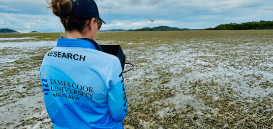 Drones trialled for seagrass monitoring at Thursday Island