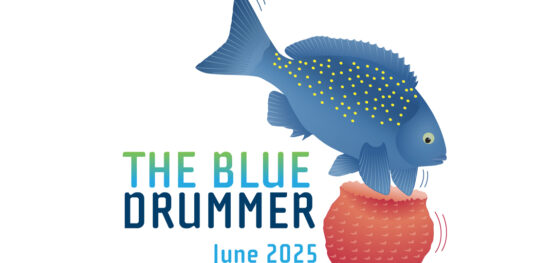 The Blue Drummer Marine and Coastal Hub newsletter, June 2025
