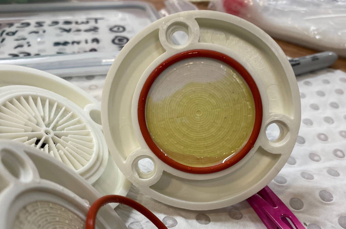 An eDNA sample showing visible colour from phytoplankton and invisible DNA fragments from hundreds of other species. Image: CSIRO-Bruce Deagle