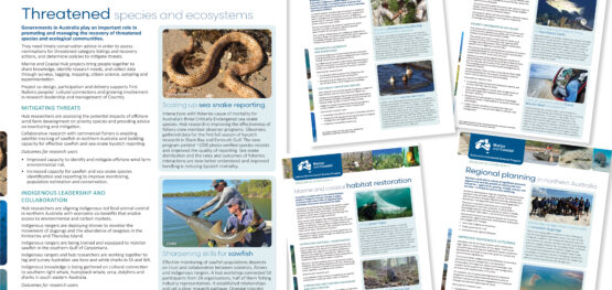 New collection of Marine and Coastal Hub research overviews for 2025
