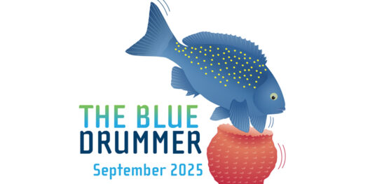 The Blue Drummer Marine and Coastal Hub newsletter, September 2025