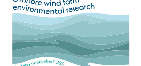 Marine and Coastal Hub offshore wind farm environmental research update, September 2025