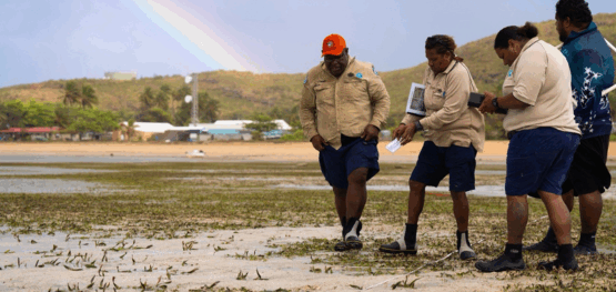 Developing a toolkit for ranger-led seagrass monitoring across northern Australia’s Sea Country