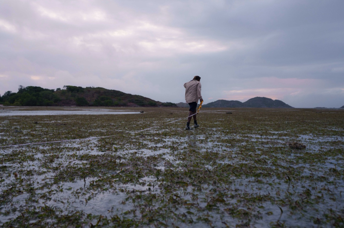 Virginia Harry, Mabuyagiw Ranger, walking out the transect to do surveys (Mabuyag Island, QLD). Image: Styledia.