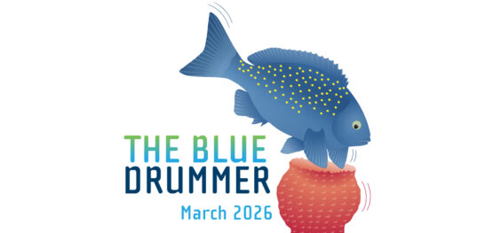 The Blue Drummer Marine and Coastal Hub newsletter, March 2026
