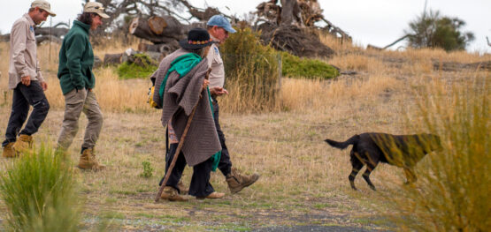 Walking shared paths on Tebrakunna Country