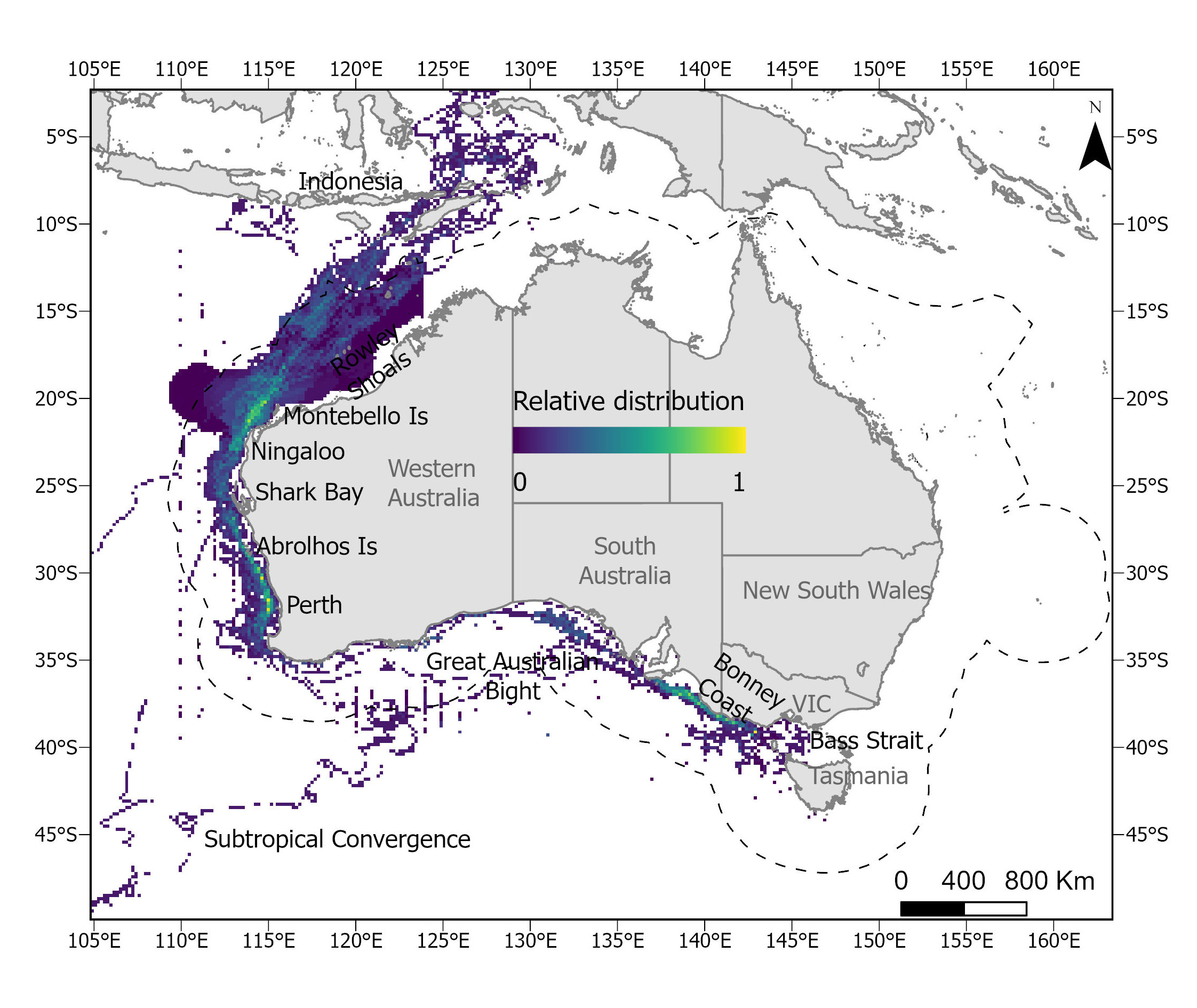 Relative pygmy blue whale combined distribution. The colour scale for relative distribution represents areas of higher (yellow), medium (green) and lower use (blue). Image: AIMS