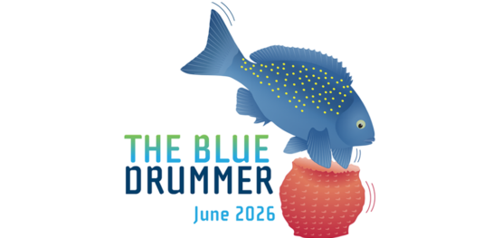 The Blue Drummer Marine and Coastal Hub newsletter, June 2026