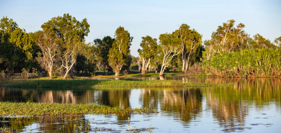 Pooling opportunities for wetland restoration in Northern Australia