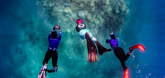 Citizen science and AI help monitor the Great Barrier Reef at scale