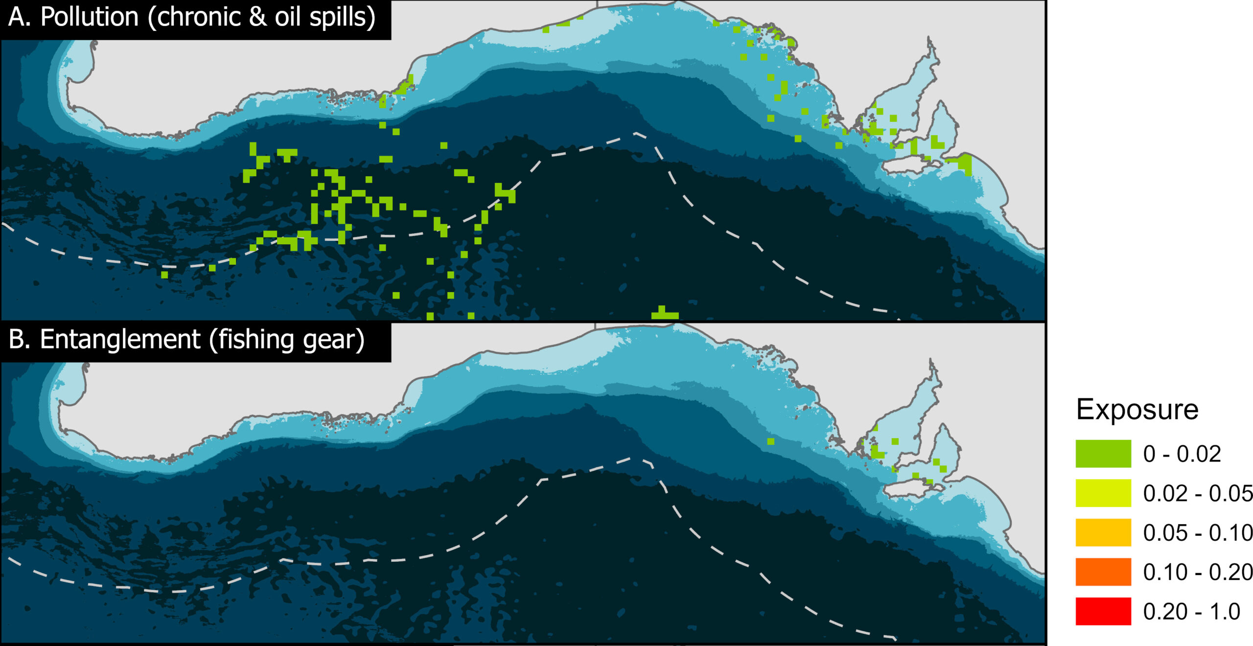 Risk exposure of southern right whales in southern Australia to (A) pollution and (B) entanglement. Risk exposure is characterised as the density of the threat layer multiplied by the number of whales occurring within the grid cell and is normalised between 0 (none) and 1 (maximum). Image: Flinders University