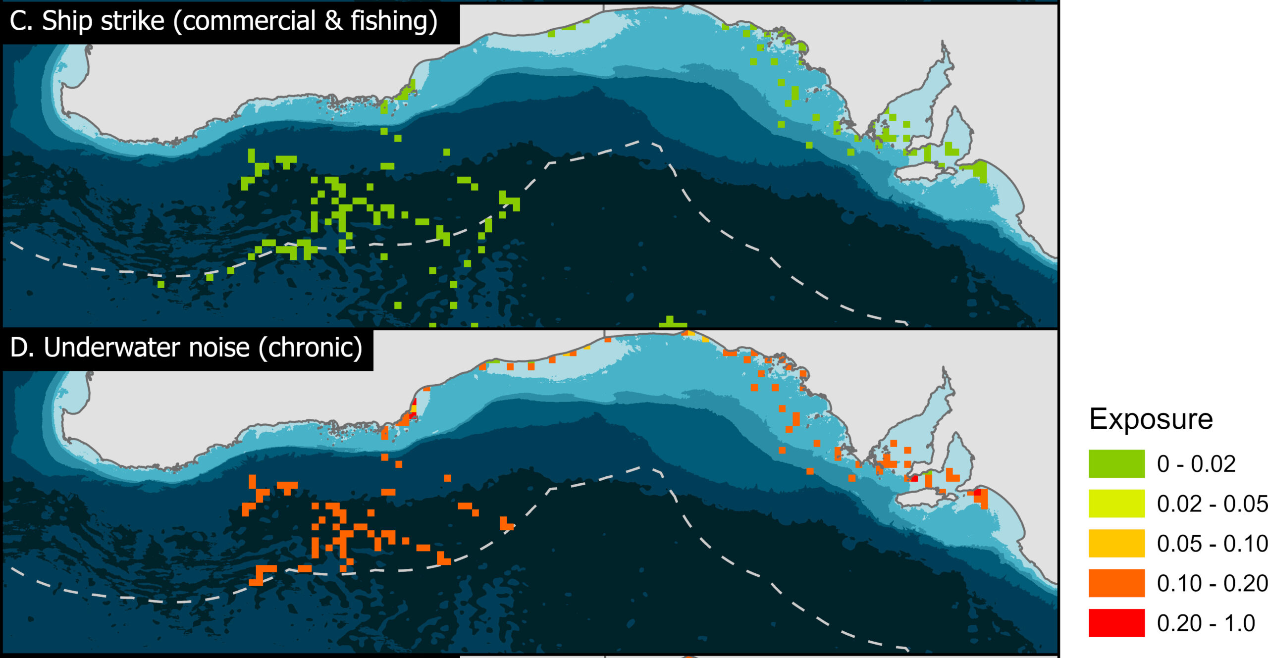 Risk exposure of southern right whales in southern Australia to (C) ship strike and (D) chronic underwater noise. Risk exposure is characterised as the density of the threat layer multiplied by the number of whales occurring within the grid cell and is normalised between 0 (none) and 1 (maximum). Image: Flinders University