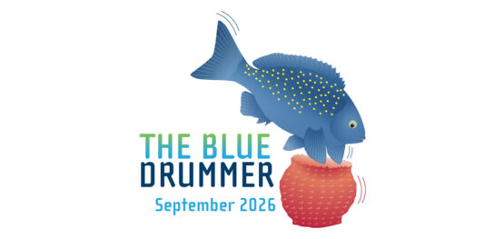 The Blue Drummer Marine and Coastal Hub newsletter, September 2026